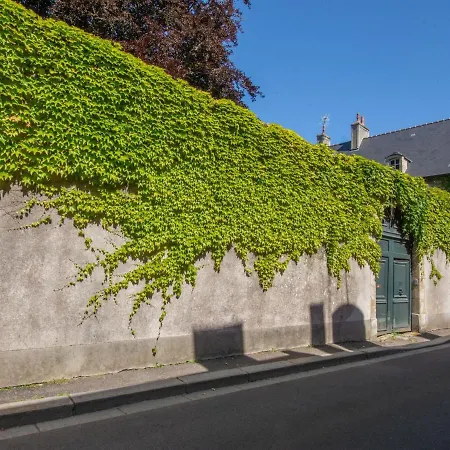 Cosy Studio In Near Museum Of Art * Bayeux